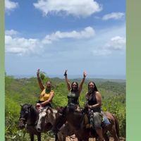Next Stop Vegan promoting their vacation package which apparently includes animal slavery  at NSV Creative Caribbean Kitchen in Brooklyn