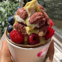 Small vegan froyo with pistachio sauce, fruit and caramelized almonds. Indulgent   at Froberry in Essen
