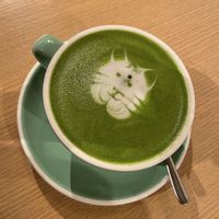 Matcha with coconut latte   at Common Grounds in Dubai