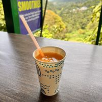 View from the cafe  at Tropical Fruit Farm in Penang