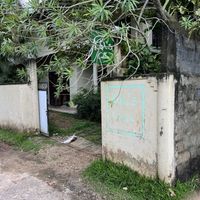 Entrance  at Kat's Coffee in Talpe