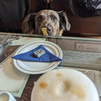  at The Chart Room in Brixham