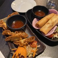 Wonton and springrolls  at Soul Vegan in Edinburgh
