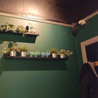  at Soul Vegan in Edinburgh