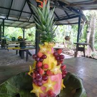 vegan cake  at La Nutria in La Virgen