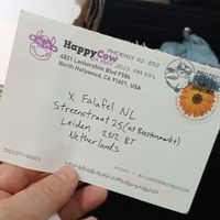  at X Falafel NL in Leiden