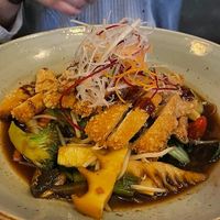 Dunkle Soße mit veganem "Hähnchen", dazu separat Reis at Mai Town in Freiburg