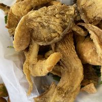   at Veganish Vibes in Baton Rouge