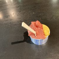 Fruit sorbet at Günther Gelato in Rome