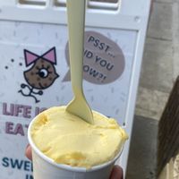 Kids Vegan Mango Sorbet 😛   at Out The Dough in Martinez