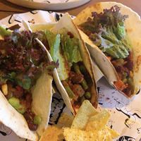 vegan tacos  at Tacoria in Hannover
