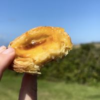 Pastel de nata  at Canteen at The Eco Park in Porthtowan