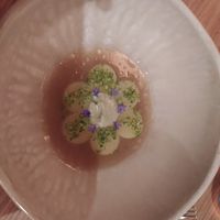 Part of the 15 course vegan menu at Salt in Budapest