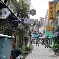   at Bloom Cafe & Cakery in New Delhi