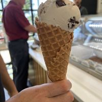 Mint chip   at Savor Ice Cream in Chico
