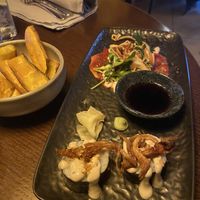   at Monkeys Reykjavík in Reykjavik