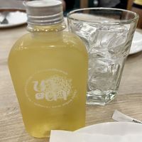 Chrysanthemum tea  at Salad Factory - The Promenade in Bangkok