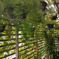 Beautiful place at Gazebo Café & Bistrô in Sao Luis