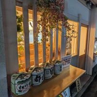  at Vegan Izakaya NIJIYA 虹屋 in Kyoto