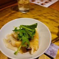 Gyoza at Vegan Izakaya NIJIYA 虹屋 in Kyoto