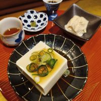 Tofu at Vegan Izakaya NIJIYA 虹屋 in Kyoto