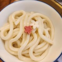 Udon at Vegan Izakaya NIJIYA 虹屋 in Kyoto