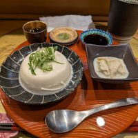 The tofu was so smooth. It matched really nice with the ponzu . Yuba is also good at Vegan Izakaya NIJIYA 虹屋 in Kyoto