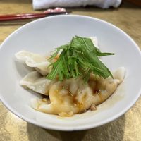 Dumplings  at Vegan Izakaya NIJIYA 虹屋 in Kyoto