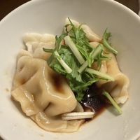 dumplings   at Vegan Izakaya NIJIYA 虹屋 in Kyoto