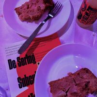 Amazing apple cake  at De Sering in Amsterdam