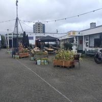  at De Sering in Amsterdam