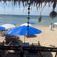  #Veganuary at SweetSoul Lanta in Krabi