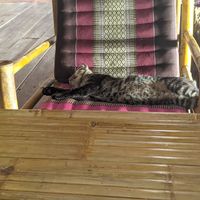  at SweetSoul Lanta in Krabi