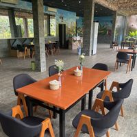   at Butterfly Paradise  in Siem Reap