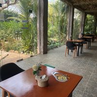   at Butterfly Paradise  in Siem Reap