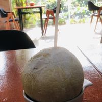My favorite Coconut Drink  at Butterfly Paradise  in Siem Reap