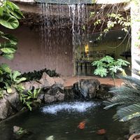 Beautiful ambiance  at Butterfly Paradise  in Siem Reap