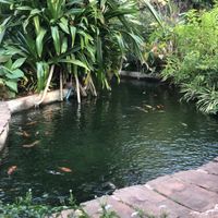 Peaceful atmosphere   at Butterfly Paradise  in Siem Reap