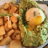   at The Grey Dog in New York City