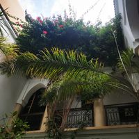  at Riad Dar Zaman in Marrakech