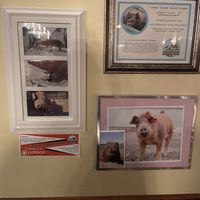 Iowa Farm Sanctuary sponsorship   at Trumpet Blossom Cafe in Iowa City