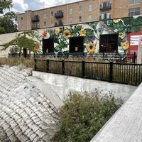   at Trumpet Blossom Cafe in Iowa City