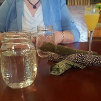 Cloth napkins made by grandma, local craft beer & mimosa at Trumpet Blossom Cafe in Iowa City