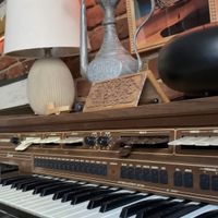   at Dervish in Berlin