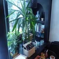 Inside the front window at VEGE Kitchen in Warsaw