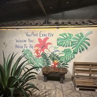 Awesome   at Casa Abierta in Leon