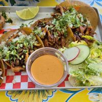 Mushroom tacos at Los Carnales in Cologne