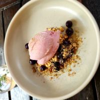 Sorbet with juniper pickled blueberries (not on menu) at Old Young's Kitchen in Henley Brook