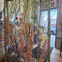  at Jang Dok Dae in Flushing