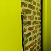 Yellow walls at Lil Bao  in Brussels